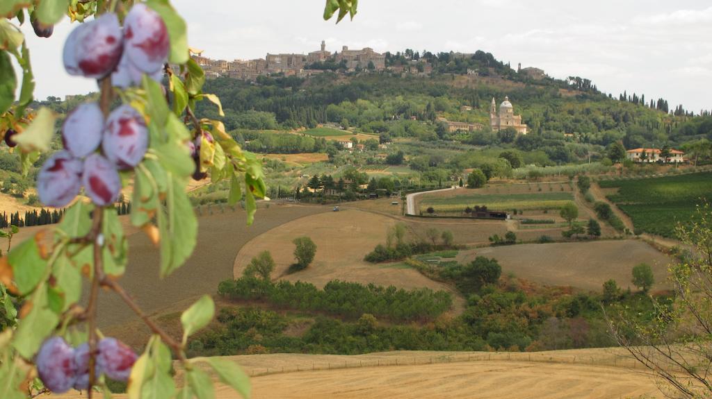 Agriturismo Villa Mazzi Montepulciano Exterior photo